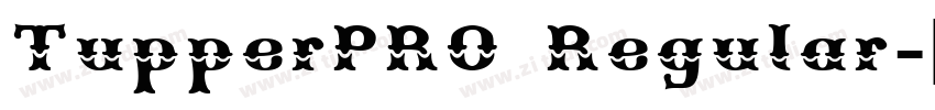 TupperPRO Regular字体转换